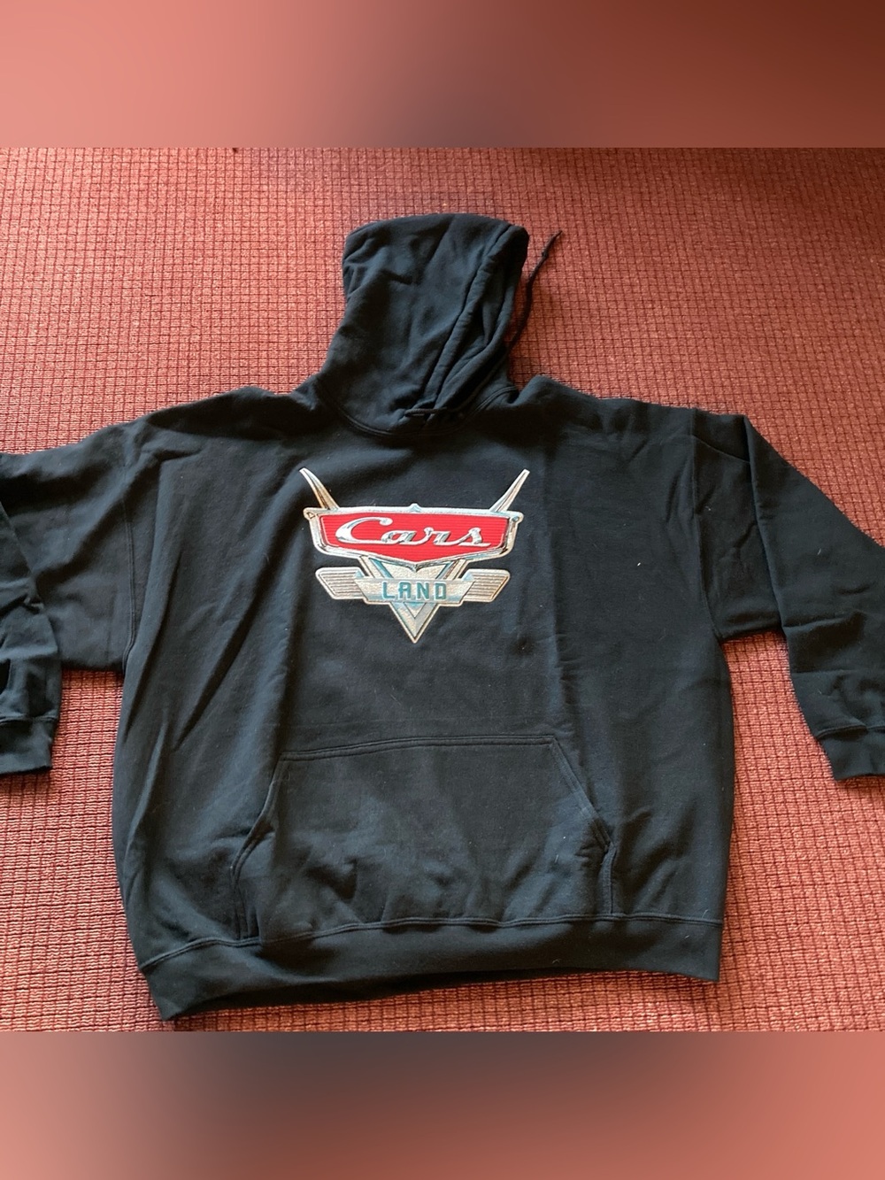 Disney  Pixar Cars Land Thick Hoodie Sweatshirt 3XL NOS Vintage Valvoline Vibe